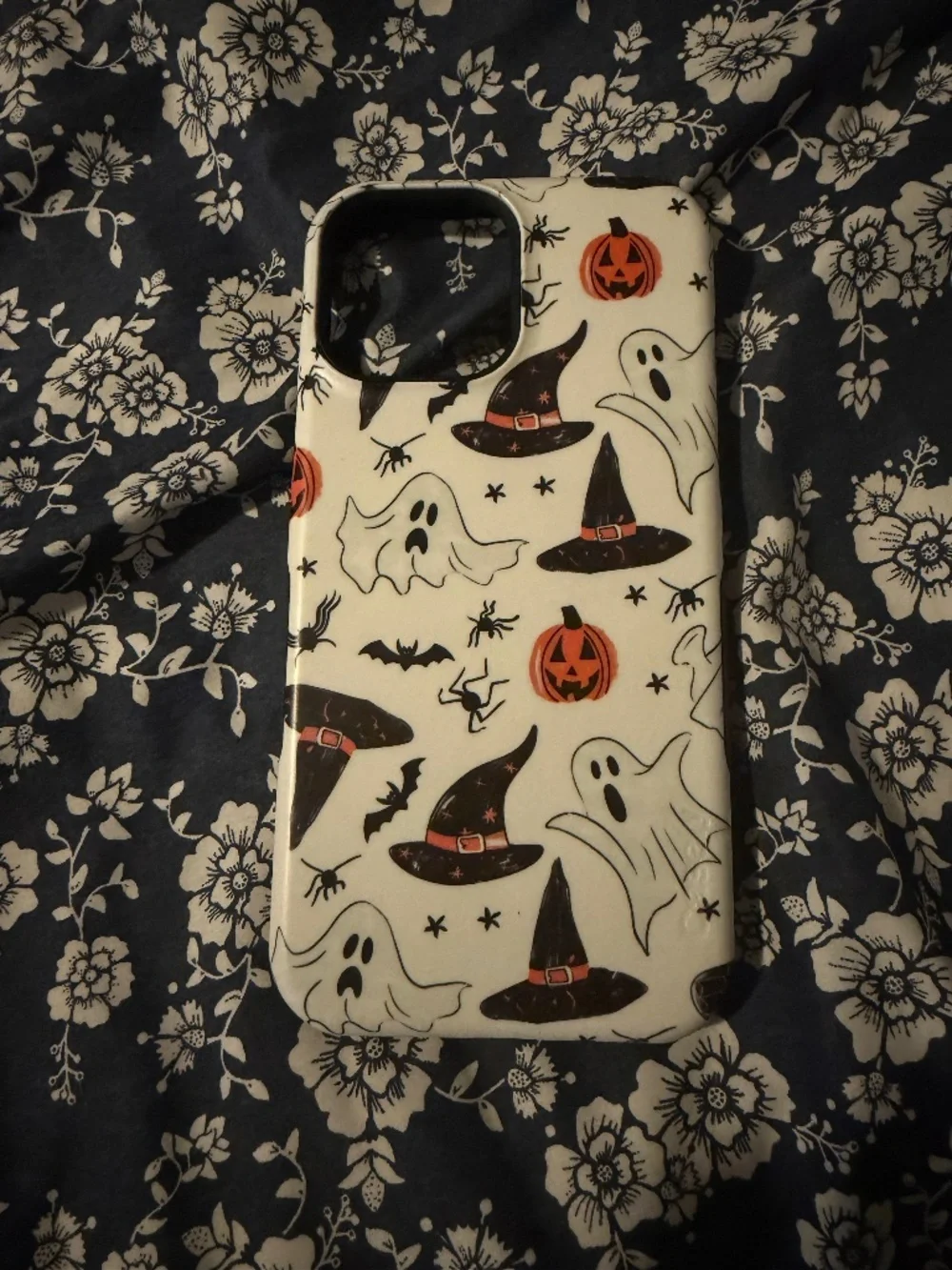 iPhone 13Pro Max Casely Case